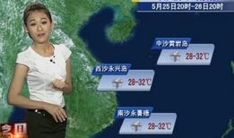 最新天气预报视频播放,最新预报视频解析，揭秘未来天气变化趋势”